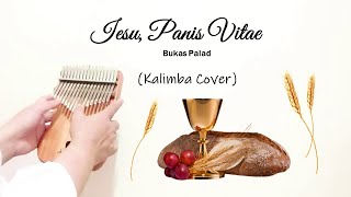 Iesu Panis Vitae Kalimba Bukas Palad [upl. by Salbu]