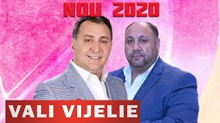 VALI VIJELIE si SANDU VIJELIE  ORICAT AI FII TU DE SUS 2020 [upl. by Ardiedak965]