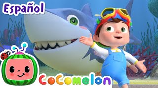 ¡CoComelon  BEBÉ TIBURÓN  Canciones Infantiles en Español Latino [upl. by Aurelius100]