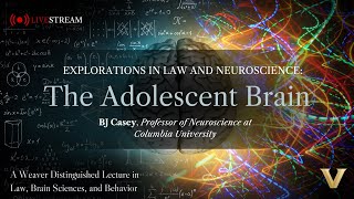 Explorations in Law and Neuroscience The Adolescent Brain with BJ Casey [upl. by Dana]