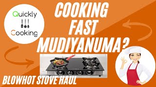 தமிழில்Blowhot Jasper Future Perfect 4 Burner Gas Auto Ignition Stove Haul [upl. by Essie]