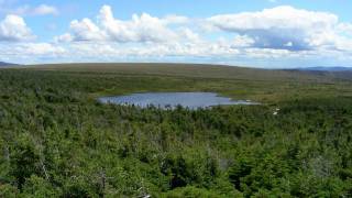 Parc de la Gaspésie  Québec  Mont JacquesCartier et Mont Albert [upl. by Ranjiv]