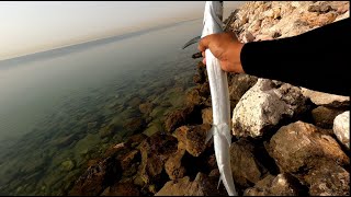 Needlefish lure fishing can sadik mo ako catch A Needlefish [upl. by Mintun]