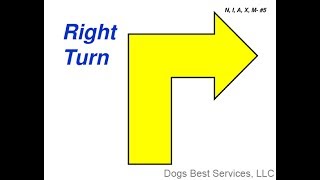 AKC Rally Novice Sign 5  Right Turn [upl. by Stutman139]