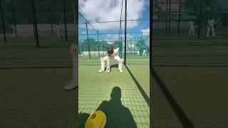 How to wicket keeping drills for beginners msdhoni cricketlover [upl. by Beckett247]