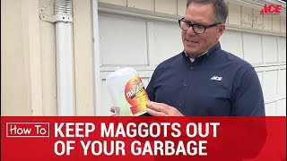 How To Keep Maggots Out Of Garbage Cans  Ace Hardware [upl. by Laughry]