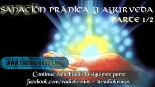 SANACIÓN PRÁNICA Y AYURVEDA parte 12 [upl. by Cleveland254]