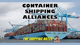 Container Shipping Alliances  The Shipping Notes 1 [upl. by Eiramyma]