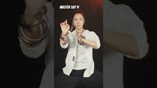 Hung Kuen Discover the Ancient Chinese Martial Art with Master Luo Yi [upl. by Fronnia]