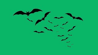 Bats flying green screen video no copyright  Green screen bats flying [upl. by Jonathan650]