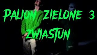 PALION  ZIELONE 3 ZWIASTUN OFFICIAL MUSIC VIDEO [upl. by Man]