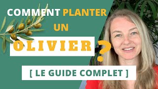 Comment planter un OLIVIER  Le guide complet [upl. by Adnilg]