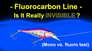 Fluorocarbon vs Monofilament Lines  Visibility Test Underwater [upl. by Old]