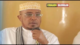 Fadliga Suuratul Baqara  ► Sh Maxamed Sh Cumar Dirir [upl. by Suzie276]