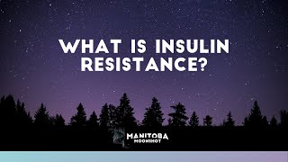 What Is Insulin Resistance [upl. by Ynogoham670]