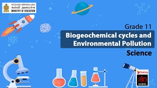 Biogeochemical cycles and Environmental Pollution  Unit – 08  Science  Grade 11 [upl. by Nala]