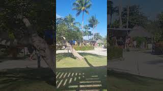 Quick video of Muthu Playa Varadero in Cuba 🇨🇺 [upl. by Fricke]