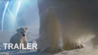 Die Eisbären  Aug In Aug Mit Den Eisbären  Doku  Trailer deutsch [upl. by Adnaw]