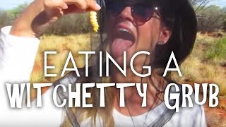 Eating a Witchetty Grub in The Outback of Australia [upl. by Nnylsoj]