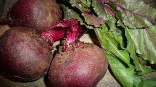 How To Juice Beets Recipe [upl. by Thoma]