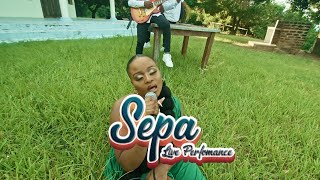 Appy  Sepa Live Perfomance [upl. by Keil]