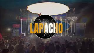 Festival Internacional del Lapacho 2024 [upl. by Rysler29]