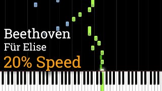 Beethoven  Für Elise Slow Piano Tutorial 20 Speed [upl. by Hanej914]