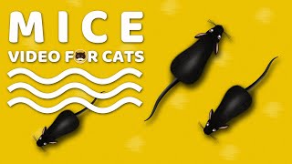 CAT GAMES  Mice Mouse Sounds Video for Cats  CAT amp DOG TV [upl. by Notrom]