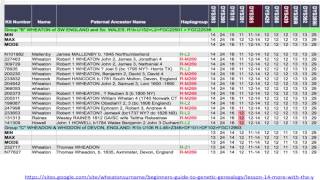 How YDNA can help your One Name Study [upl. by Htaek]