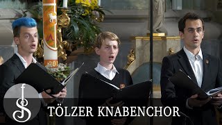 Johann Bach  Unser Leben ist ein Schatten  Tölzer Knabenchor [upl. by Jobye]