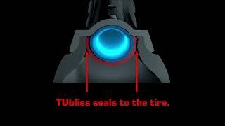 TECH TIP TUBLISS RESET [upl. by Anerhs]