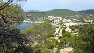 Hotel Elegance Vista Blava in Cala Millor Mallorca  Spanien Bewertung [upl. by Merp]