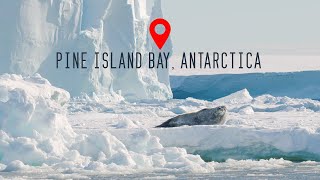 Pine Island Bay Antarctica 4K [upl. by Adilem]