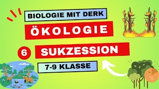 Ökologie  6  Sukzession  7  9 Klasse [upl. by Lovmilla]