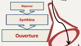 Lintroduction et la conclusion dune dissertation [upl. by Suoirad]