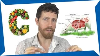 My Humans are Herbivores Video Was Debunked [upl. by Rianon]