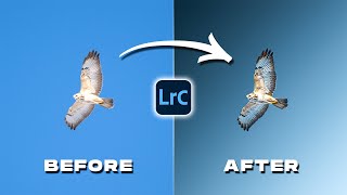 Transform Your Photos in Lightroom Like a PRO [upl. by Redna409]