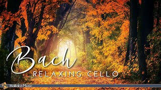 Bach  Relaxing Cello Music [upl. by Tempa60]