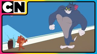 Tom amp Jerry 😺🐭 Just Cat amp Mouse Things  tomandjerry  Funny Cartoons  cnindia [upl. by Oniliuqnart]