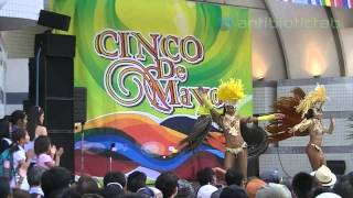 Cinco De Mayo 2014 Japan シンコ・デ・マヨ・フェスティバル 2014 東京会場 代々木公園 [upl. by Sower264]