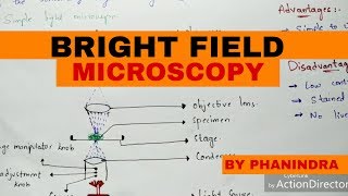 Bright Field Microscopy  Principle  Working  Advantages and disadvantages [upl. by Omrellig932]