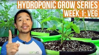 Complete Grow Tent Kit System  Week 1 Grow Journal  GrowAcecom Grow Series [upl. by Randolf]