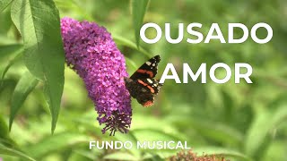 Ousado amor  Fundo musical [upl. by Page268]