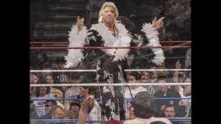 Ric Flair 1st WWE Theme [upl. by Nonaihr]