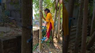 Arecanut tree climbing machineBettel nutArecanut harvesting [upl. by Servetnick]