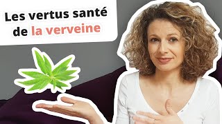 Les vertus santé de la verveine [upl. by Nitnert]