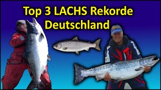 Top 3 Rekord LACHSE Deutschlands  24 KG Lachs angeln [upl. by Zinck]