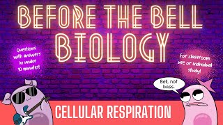 Cellular Respiration Before the Bell Biology [upl. by Vidovic]