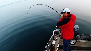 Salmon amp Lake Trout Jigging Technique [upl. by Akeret]