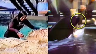 The Tragic Killer Whale Attack On Tamarie Tollison Actual Footage [upl. by Magulac740]